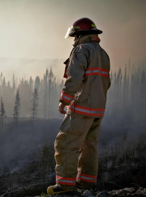 Firefighter alone looking over a forest